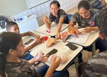 Com ações do Governo do Tocantins, escolas estaduais são destaques na evolução do Ideb nos anos finais do Ensino Fundamenta