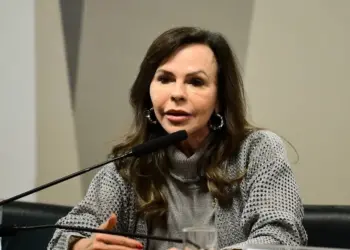 Professora Dorinha destaca desafio para a melhoria da educação pública no novo PNE