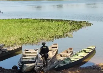 Fiscalização do Naturatins no Parque do Cantão e no Lago de Estreito apreende mais de mil metros de redes de pesca e uma espingarda artesanal
