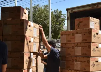 Com 679 equipamentos para Palmas, TRE-TO entrega última remessa de urnas eletrônicas a 2 meses das eleições