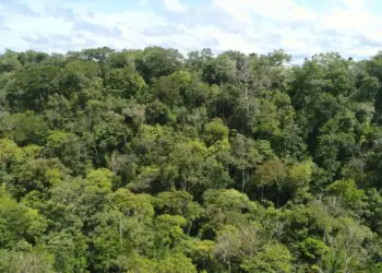 Semarh passa a publicar Boletim Climático e Risco de Incêndio; Tocantins registra 11,2 mil focos de queima em 2024