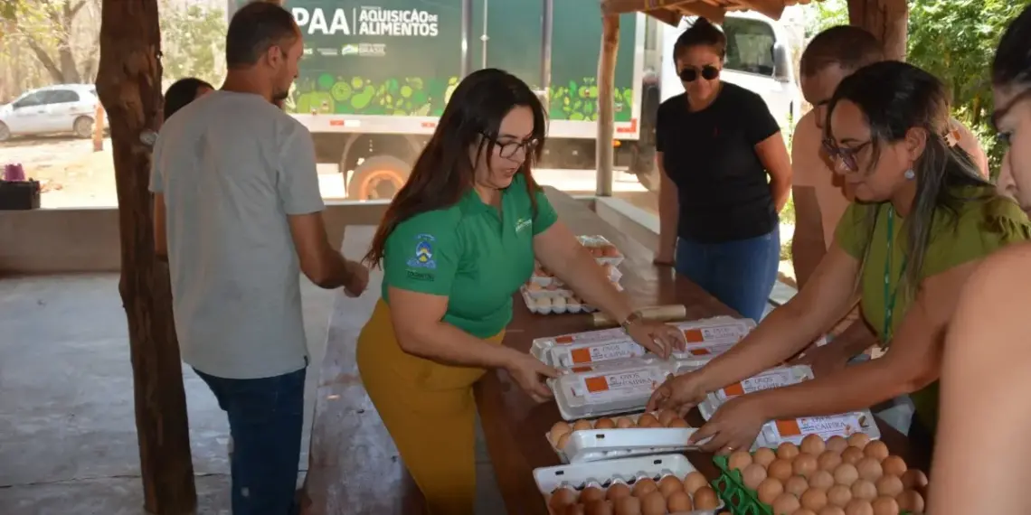 Ruraltins acompanha entrega de 3 mil ovos para alimentação escolar; aquisição ocorreu por PPA com investimento de R$ 1,5 milhão