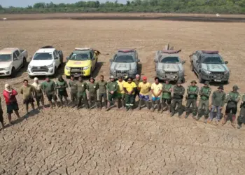 Operação Gigante do Araguaia na Ilha do Bananal transfere cerca de 150 peixes para Riozinho após redução dos níveis da água