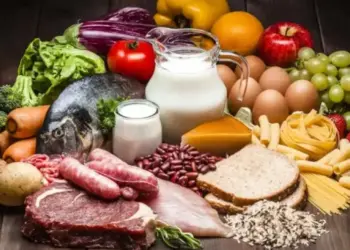 Governo do Tocantins alerta fabricantes de alimentos sobre novo marco regulatório de alimentos e embalagen