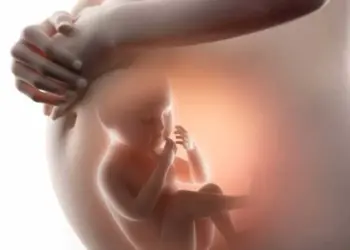 Governo do Tocantins regulamenta Dia Estadual do Nascituro e de Conscientização sobre os Riscos do Aborto