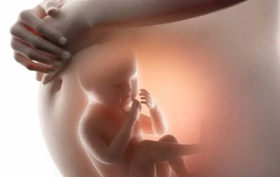 Governo do Tocantins regulamenta Dia Estadual do Nascituro e de Conscientização sobre os Riscos do Aborto