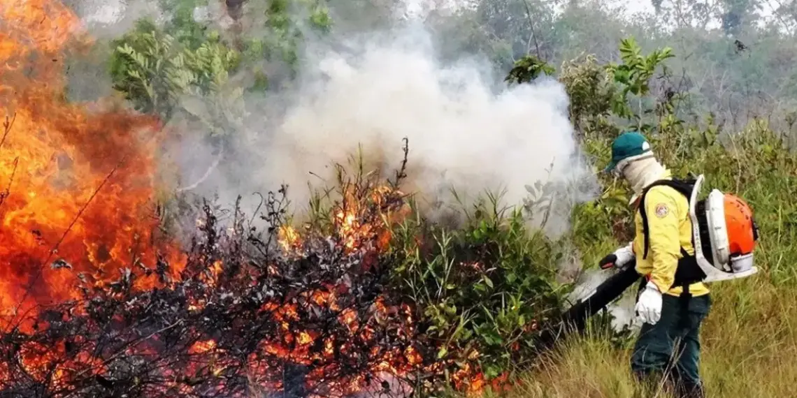 QUEIMADAS | Coordenador de núcleo da Defensoria defende que municípios tenham Defesa Civil: “Essencial para segurança da população”
