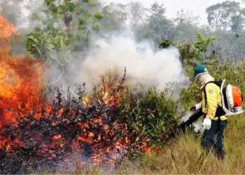 QUEIMADAS | Coordenador de núcleo da Defensoria defende que municípios tenham Defesa Civil: “Essencial para segurança da população”