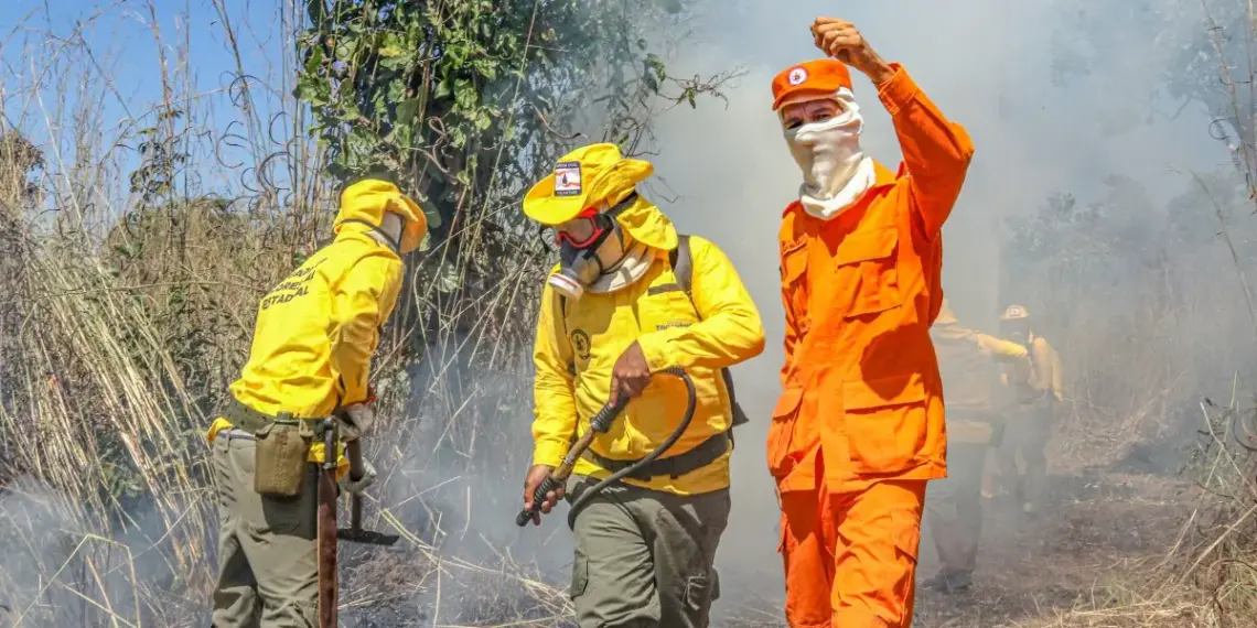 Com 1.760 ocorrências em pouco mais de 8 meses, CBMTO já atuou em mais combate a incêndios florestais do que todo o ano de 2023