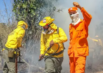 Com 1.760 ocorrências em pouco mais de 8 meses, CBMTO já atuou em mais combate a incêndios florestais do que todo o ano de 2023
