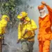Com 1.760 ocorrências em pouco mais de 8 meses, CBMTO já atuou em mais combate a incêndios florestais do que todo o ano de 2023