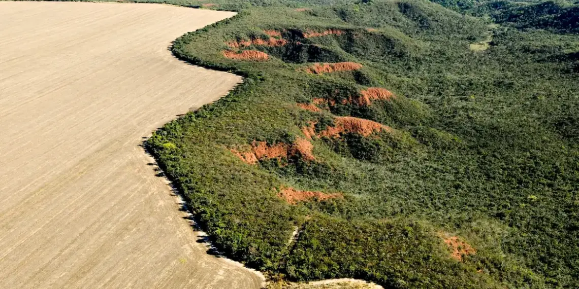No Matopiba, Tocantins é o que mais liberou dióxido de carbono na atmosfera por desmatamento do cerrado; Ipam fala em catástrofe na região