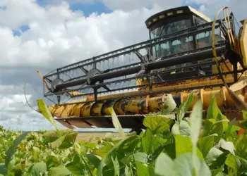 Com mais de 1,5 milhão de hectares para cultivo da soja, Tocantins inicia na terça-feira plantio da safra 2024/2025