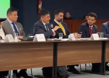 Em audiência com ministro Flávio Dino, Lelis expõe gravidade dos incêndios na Ilha do Bananal; ministro irá cobrar AGU sobre suporte aéreo