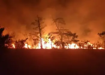 Novo boletim climático traz 13,4 mil focos de queimadas em 86 municípios do Tocantins, 1,8 mil a mais do que a última edição