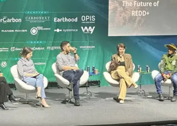 Em conferência de Clima e Carbono em São Paulo, Tocantins elenca arcabouço legal, financeiro e governança como desafios do REDD+ 