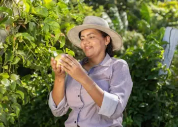 Sebrae Tocantins leva 80 empreendedoras para evento do agro em São Paulo