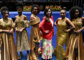 Senadora Professora Dorinha celebra nova lei que reconhece o artesanato de Capim Dourado como Patrimônio Cultural