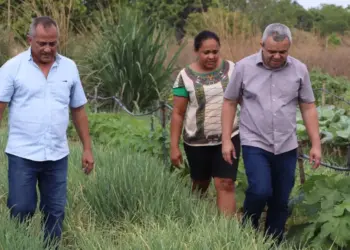 Com serviços de gradagem e distribuição de calcário, Porto Nacional lança início da plantio da agricultura familiar
