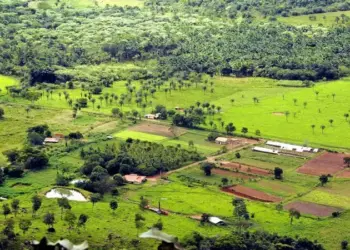 Censo de 2022 aponta que 17,1% da população tocantinense mora em áreas rurais; Araguatins lidera no número de residentes