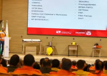 Área queimada no Tocantins em 2024 foi de 3 milhões de hectares, aumento de 160% comparado a 2023