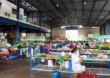 Feirantes tem até sexta-feira para promover para recadastramento junto à Prefeitura de Palmas