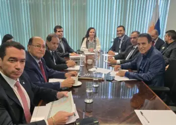 Liderada pela Senadora Dorinha, reunião da bancada federal define prioridades para o Tocantins em 2025