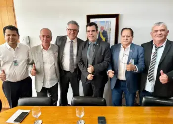 Ricardo Ayres leva prefeitos ao ministro Padilha para tratar de demandas municipais