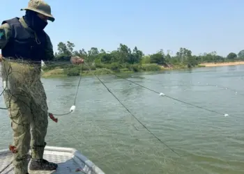 Naturatins apreende 200 metros de redes de pesca e 10 quilos de pescado durante Operação Piracema em Pau D’Arco e Arapoema