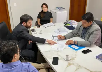 MPE apura morte de mãe e bebê no Dona Regina e tem agenda com diretor-geral e secretário da Saúde; CRM-TO já havia falado em possibilidade de colapso