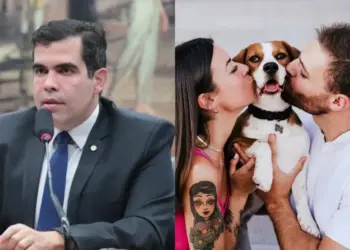 Guarda compartilhada de pets em divórcios avança com aprovação do relatório de Ayres