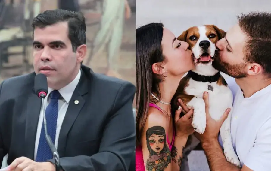 Guarda compartilhada de pets em divórcios avança com aprovação do relatório de Ayres