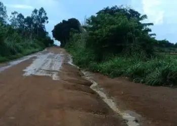 Guarda Ambiental de Palmas multa BRK Ambiental em mais de R$ 36 milhões por vazamento na ETE de Santa Fé