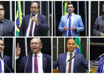 Deputado Ricardo Ayres fecha 2024 com maior número de proposições, projetos e relatórios, e Eli Borges lidera em discursos no Plenário; veja atuação da bancada