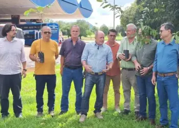 Fundação Municipal de Meio Ambiente doa 200 mudas para projeto de sustentabilidade