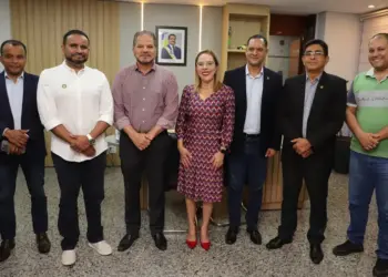 Governo do Tocantins discute criação de delegacia especializada no combate a crimes raciais no estad