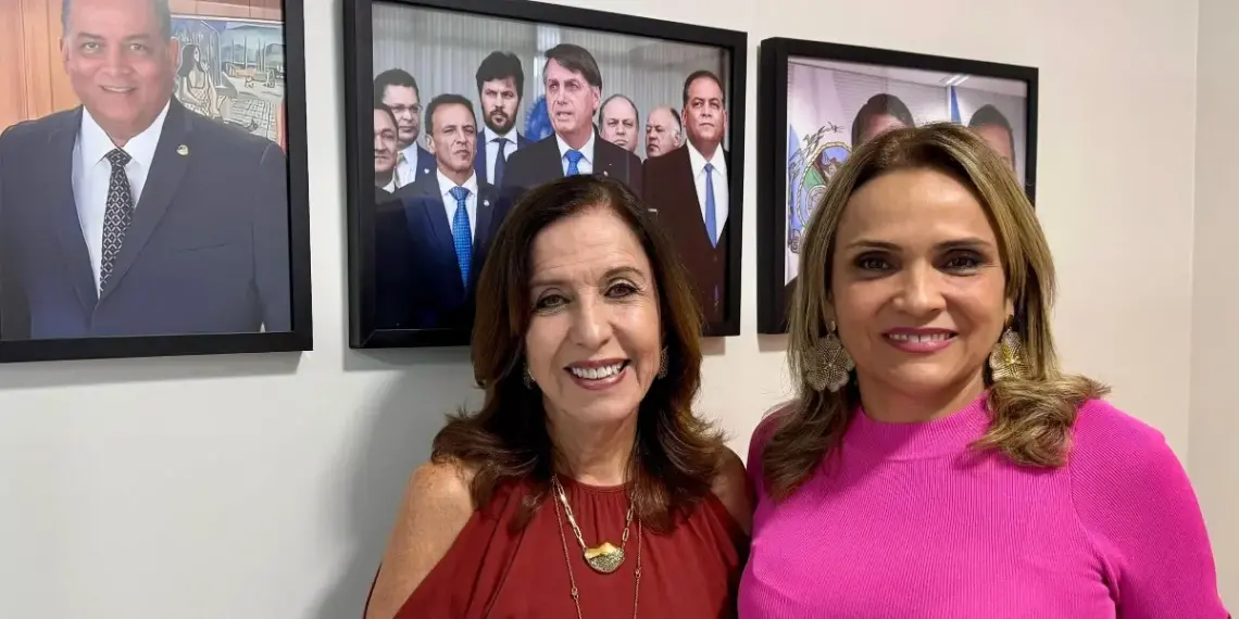 Plano do segmento feminino do PL para 2025 prevê capacitação e aumento do número de mulheres filiadas