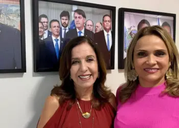 Plano do segmento feminino do PL para 2025 prevê capacitação e aumento do número de mulheres filiadas