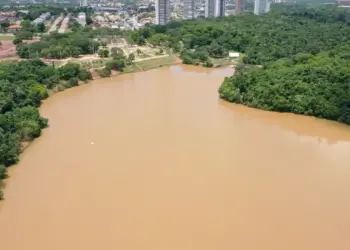 PARQUE CESAMAR | Empresa diz que retirou material oleoso de toda a extensão afetada por derramamento no Córrego Brejo Comprido e que segue monitorando
