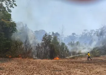 Couto Magalhães fecha 2024 com apenas 36 focos de incêndio registrados; em 2021 chegou a ter 729