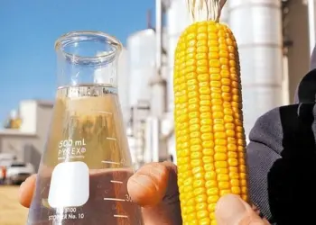 Empresa estuda investir R$ 1,2 bilhão em indústria de produção de etanol de milho em Miranorte; estão previstos 630 empregos diretos na fase inicial