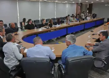 Em reunião remota com secretariado, governador Wanderlei determina contratação de barcos para travessia gratuita em Aguiarnópolis