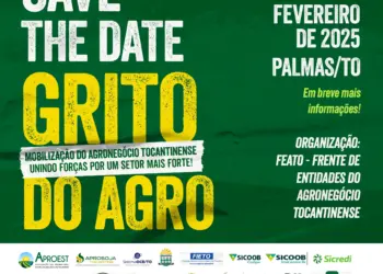 Sem conseguir audiência com Wanderlei, Frente de Entidades fará “Grito do Agro” dia 20 de fevereiro e espera colocar mil produtores do Estado em Palmas