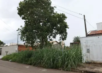 Prefeitura de Palmas destaca obrigatoriedade de limpeza dos terrenos ao menos 2 vezes ao ano, sob pena de notificação e multas