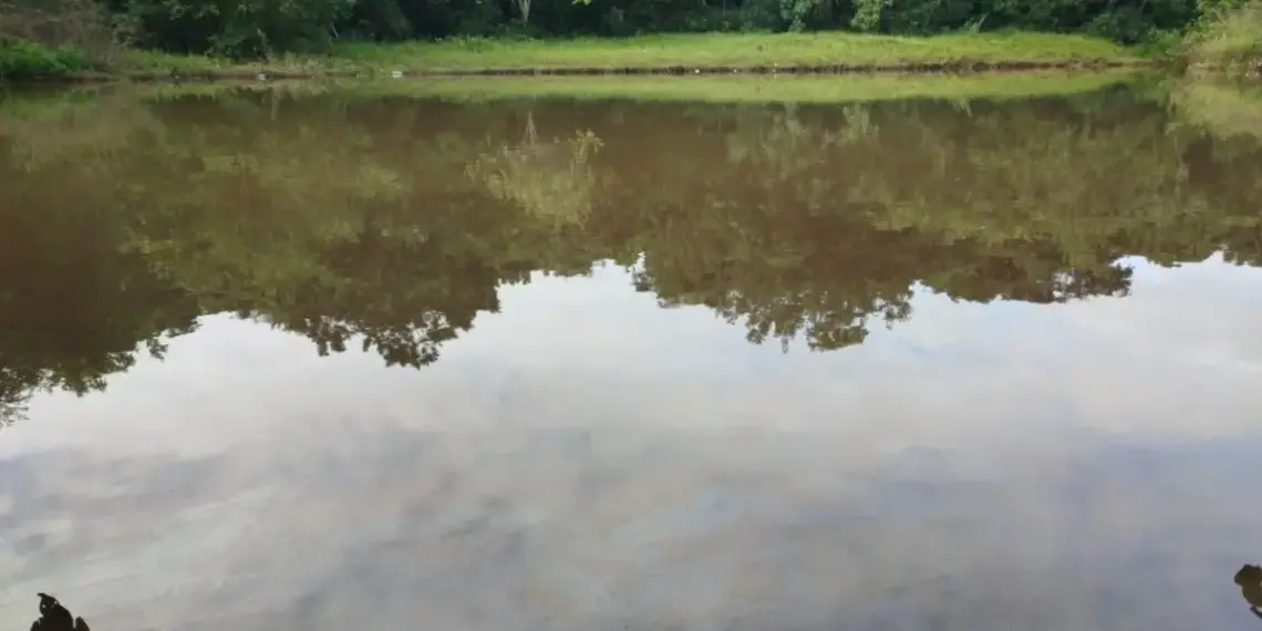 Estado regulamenta CAR, com diretrizes para inscrição, análise, regularização e monitoramento de imóveis rurais