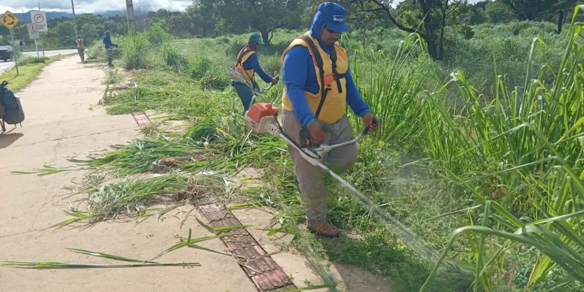 Zeladoria Urbana continua com limpeza e manutenção das áreas públicas; veja as quadras atendidas