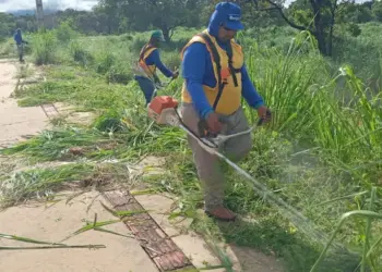 Zeladoria Urbana continua com limpeza e manutenção das áreas públicas; veja as quadras atendidas