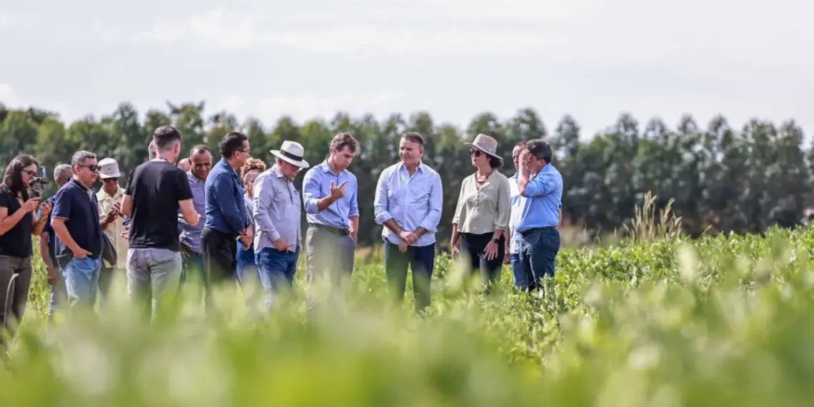 Prefeitura de Palmas e Embrapa firmam termo de cooperação para capacitação de 50 produtores da agricultura familiar