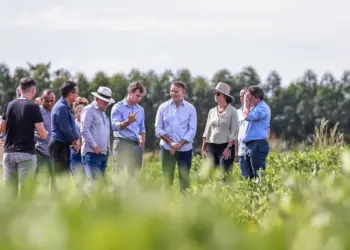 Prefeitura de Palmas e Embrapa firmam termo de cooperação para capacitação de 50 produtores da agricultura familiar