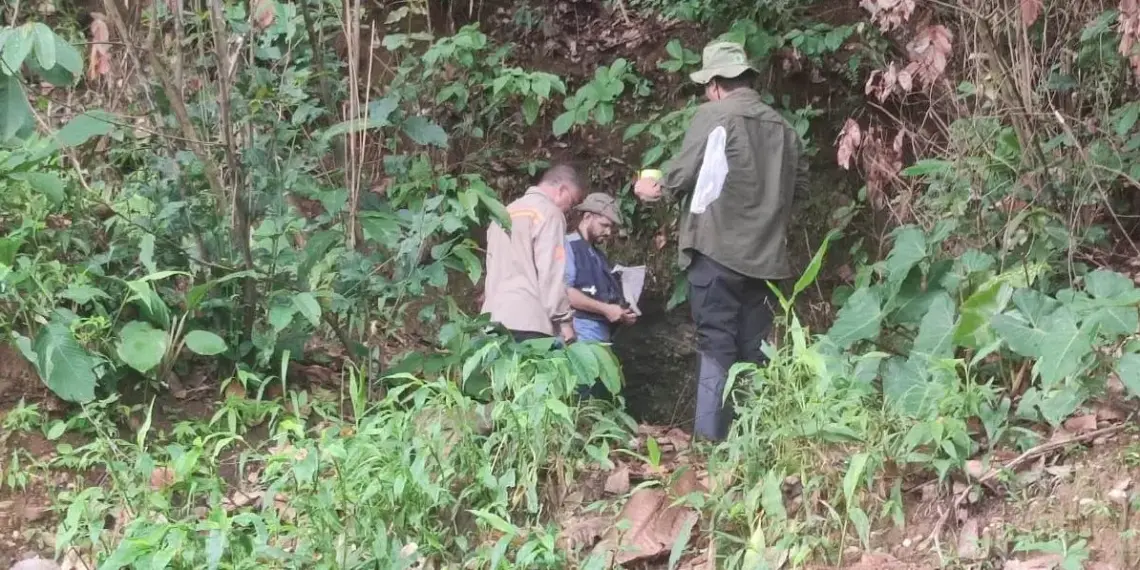 Secretaria da Saúde investiga e faz assessoria técnica sobre febre amarela em Monte do Carmo; paciente peruano veio de Goiás a trabalho